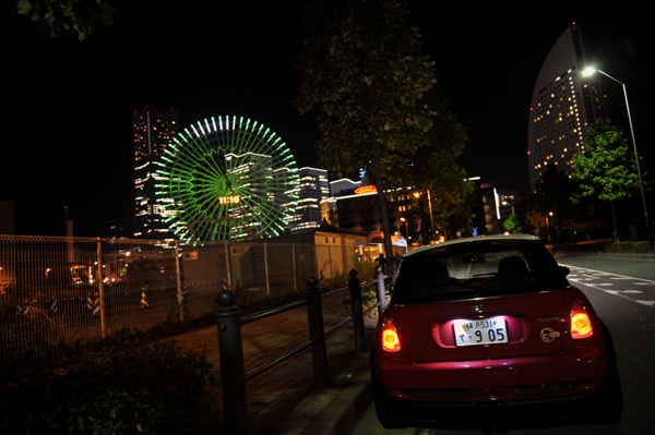 924 mm mini DSC_0300.jpg